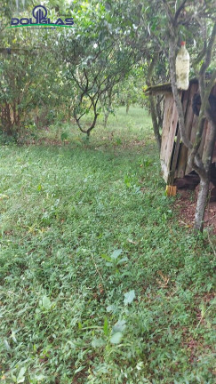 Imagem Casa com 1 Quarto à Venda,  em águas Claras - Viamão