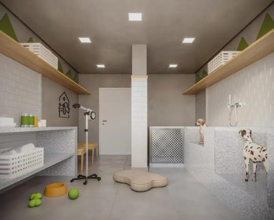 Imagem Apartamento com 3 Quartos à Venda, 88 m² em Vila Matilde - São Paulo