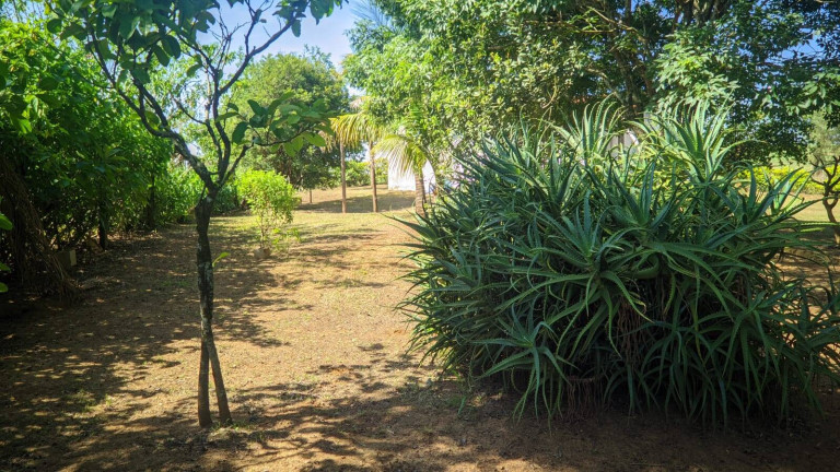 Imagem Chácara com 2 Quartos à Venda, 1.400 m² em Centro - Capela Do Alto Imagem Chácara com 2 Quartos à Venda, 1.400 m² em Centro - Capela Do Alto