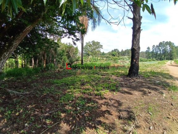 Imagem Imóvel com 2 Quartos à Venda, 133.100 m² em Ibiúna - Ibiúna Imagem Imóvel com 2 Quartos à Venda, 133.100 m² em Ibiúna - Ibiúna