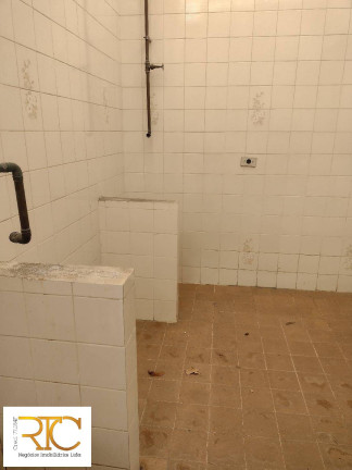 Imagem Casa com 4 Quartos à Venda, 500 m² em Vila Alexandria - São Paulo Imagem Casa com 4 Quartos à Venda, 500 m² em Vila Alexandria - São Paulo