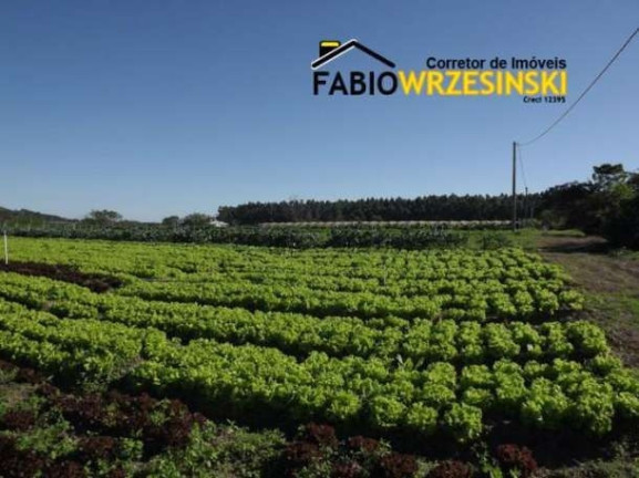 Imagem Terreno à Venda, 50.000 m² em Barra Itapocú - Araquari