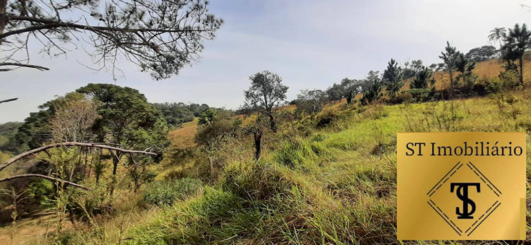 Imagem Chácara com 3 Quartos à Venda, 72.000 m² em Estância Santa Maria Do Portão - Atibaia