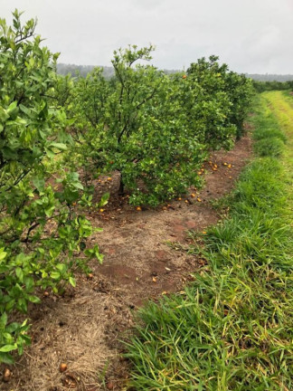 Chácara à Venda, 14 m² em Rural - águas De Santa Bárbara