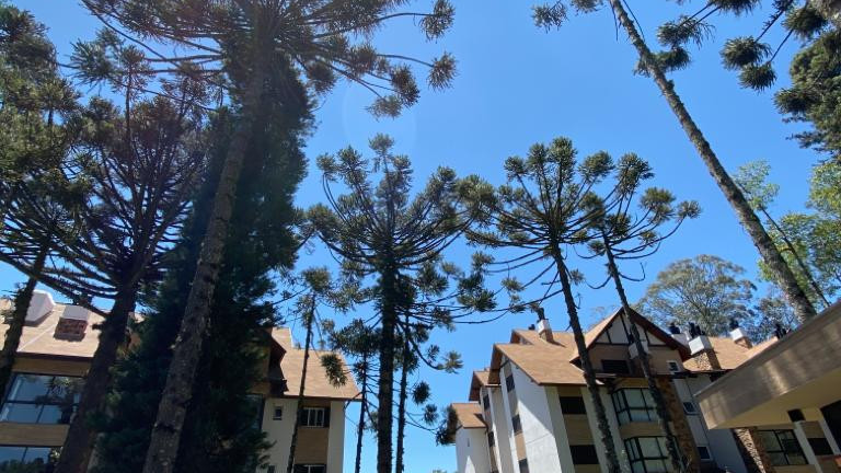 Apartamento com 3 Quartos à Venda, 135 m² em Centro - Gramado