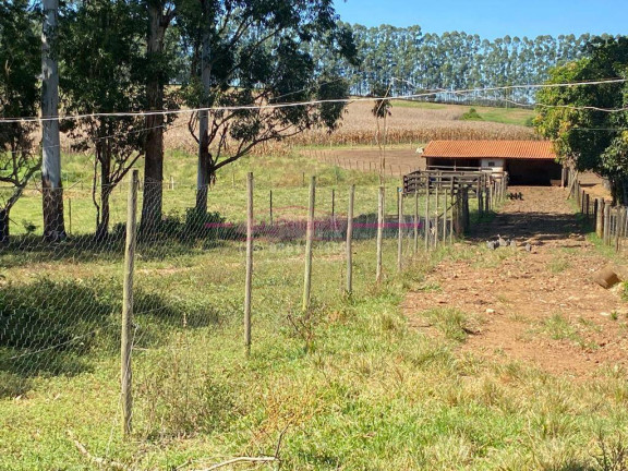 Imagem Chácara com 3 Quartos à Venda, 200 m² em Rural - Guareí