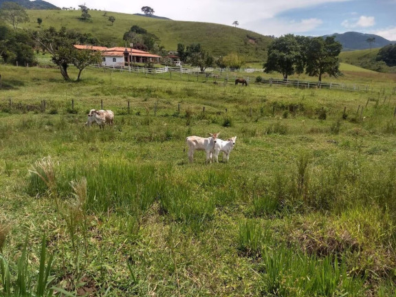 Imagem Chácara com 4 Quartos à Venda, 411.400 m² em Centro - Lagoinha Imagem Chácara com 4 Quartos à Venda, 411.400 m² em Centro - Lagoinha