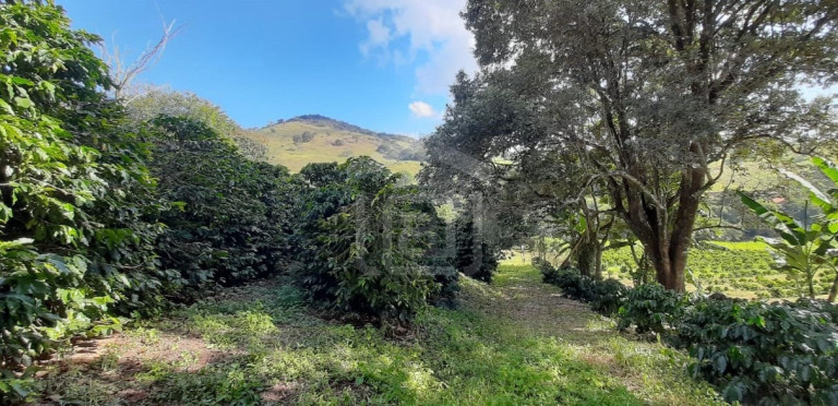 Imagem Imóvel à Venda, 3 m² em Milho Verde - Bandeira Do Sul Imagem Imóvel à Venda, 3 m² em Milho Verde - Bandeira Do Sul