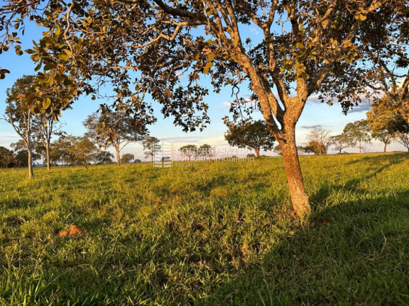 Imagem Imóvel à Venda, 146 m² em Jardim Santa Bárbara - Palmas Imagem Imóvel à Venda, 146 m² em Jardim Santa Bárbara - Palmas
