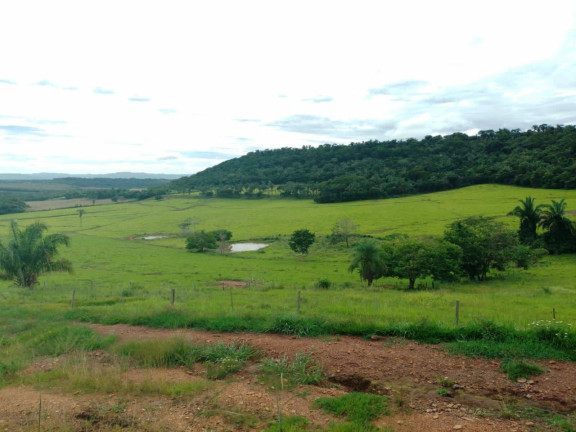 Imagem Chácara à Venda, em Cuiabá Imagem Chácara à Venda, em Cuiabá