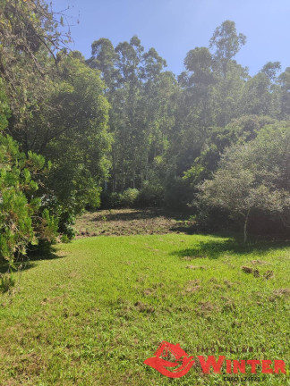 Imagem Chácara com 3 Quartos à Venda, 70.000 m² em Vale Do Lobo - Feliz Imagem Chácara com 3 Quartos à Venda, 70.000 m² em Vale Do Lobo - Feliz