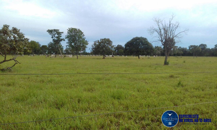 Imagem Fazenda à Venda, 1 m² em Zona Rural - Araguaiana Imagem Fazenda à Venda, 1 m² em Zona Rural - Araguaiana