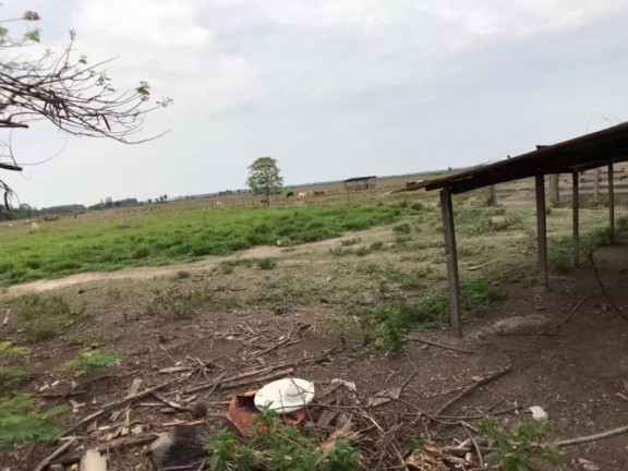 Imagem Fazenda à Venda, 1 m² em Zona Rural - Sinop Imagem Fazenda à Venda, 1 m² em Zona Rural - Sinop