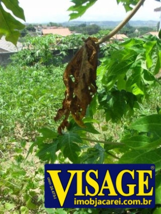 Imagem Terreno à Venda, em Jd. Terras De Sao Joao - Jacareí Imagem Terreno à Venda, em Jd. Terras De Sao Joao - Jacareí