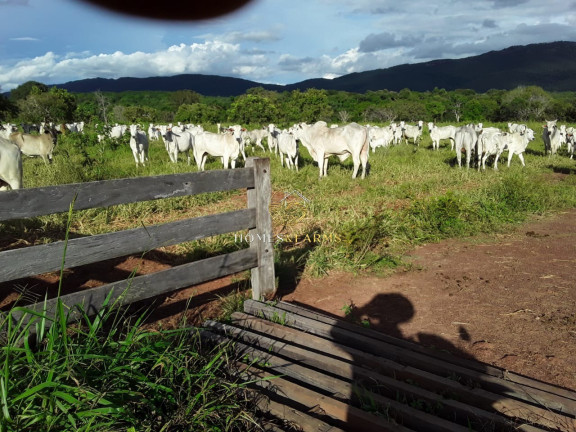 Imagem Imóvel com 3 Quartos à Venda, 2.770 m² em Zona Rural - Barra Do Bugres Imagem Imóvel com 3 Quartos à Venda, 2.770 m² em Zona Rural - Barra Do Bugres