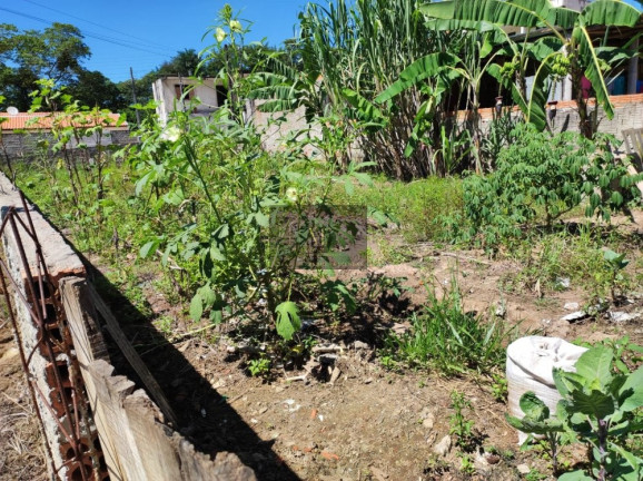 Imagem Terreno à Venda, 261 m² em Jardim Santo Antonio - Tomazina