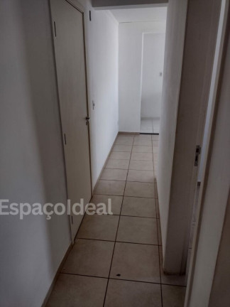Imagem Apartamento com 2 Quartos à Venda, 45 m² em Jardim Terra Branca - Bauru Imagem Apartamento com 2 Quartos à Venda, 45 m² em Jardim Terra Branca - Bauru