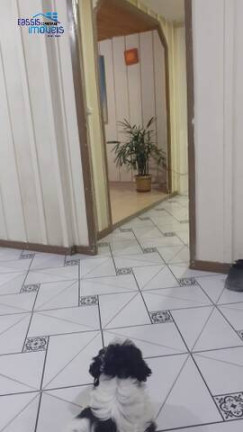 Imagem Casa com 3 Quartos à Venda, 50 m² em Guarituba - Piraquara