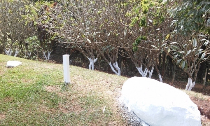 Imagem Chácara com 5 Quartos à Venda, 350 m² em Jundiaizinho (terra Preta) - Mairiporã