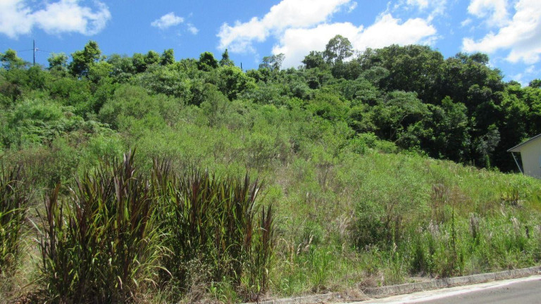 Imagem Terreno à Venda, 451 m² em Primavera - Concórdia Imagem Terreno à Venda, 451 m² em Primavera - Concórdia