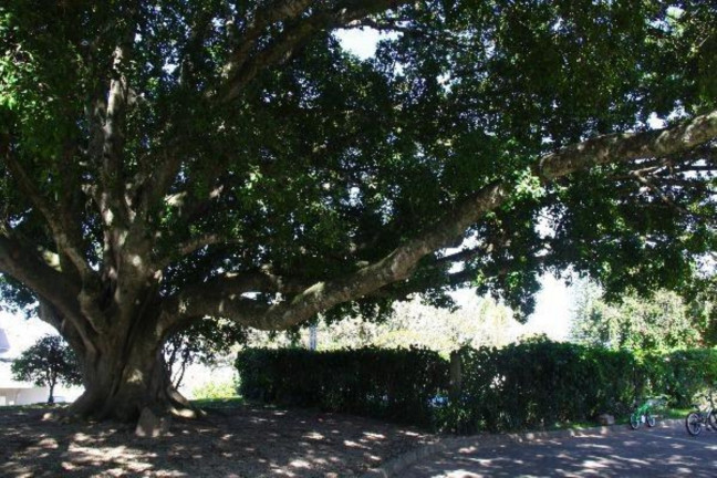 Imagem Imóvel à Venda, em Aberta Dos Morros - Porto Alegre Imagem Imóvel à Venda, em Aberta Dos Morros - Porto Alegre
