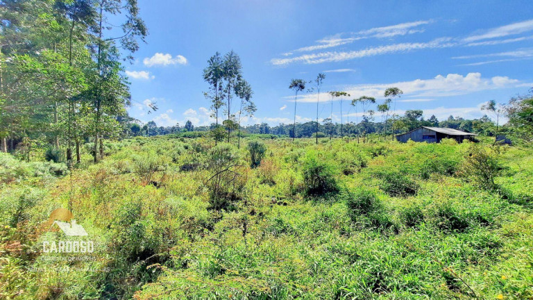 Imagem Fazenda à Venda, 23.000 m² em águas Claras - Viamão Imagem Fazenda à Venda, 23.000 m² em águas Claras - Viamão