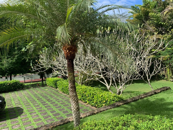 Imagem Casa de Condomínio com 6 Quartos à Venda, 5.000 m² em Centro - Mangaratiba