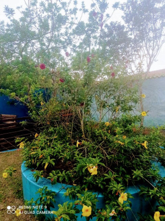 Imagem Chácara com 6 Quartos à Venda, 53 m² em Zona Rural - Cambuí Imagem Chácara com 6 Quartos à Venda, 53 m² em Zona Rural - Cambuí
