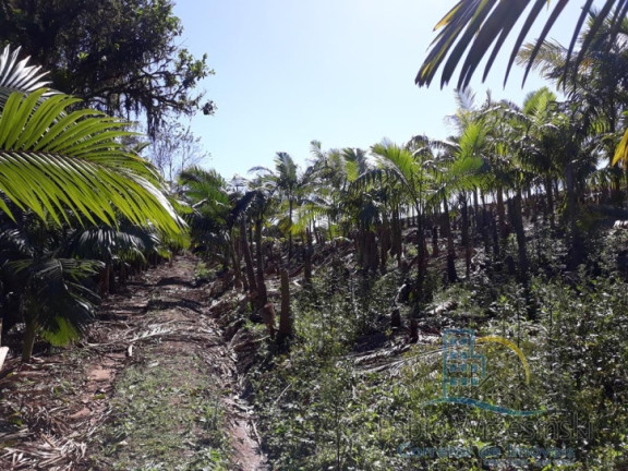 Imagem Terreno à Venda, 232.297 m² em Enseada - São Francisco Do Sul Imagem Terreno à Venda, 232.297 m² em Enseada - São Francisco Do Sul
