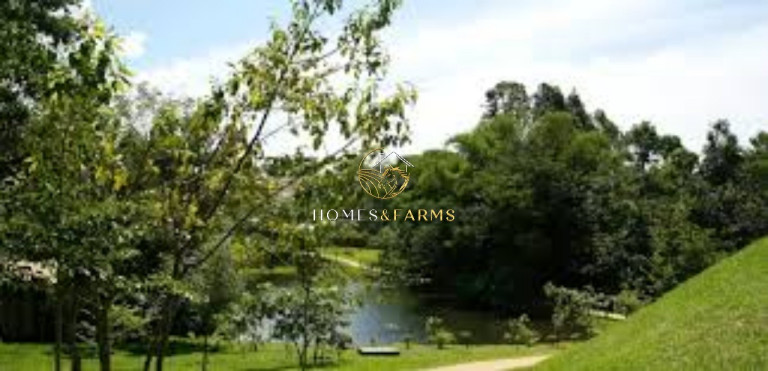 Imagem Casa com 4 Quartos para Alugar, 260 m² em Jardins Atenas - Goiânia