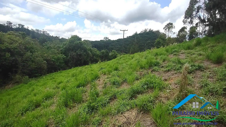 Imagem Chácara à Venda, 20 m² em Centro - Camanducaia