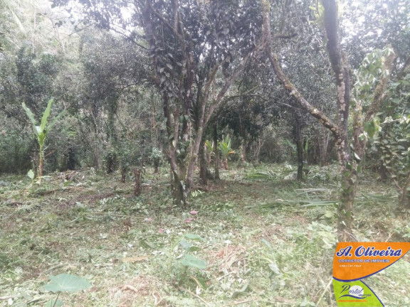 Imagem Terreno à Venda, 56.000 m² em Ubatumirim - Ubatuba Imagem Terreno à Venda, 56.000 m² em Ubatumirim - Ubatuba