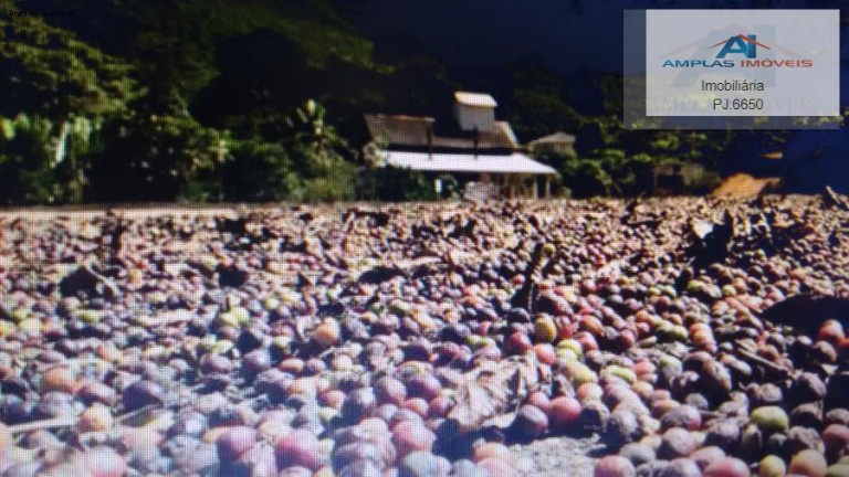 Imagem Fazenda à Venda, 35 m² em Manhumirim