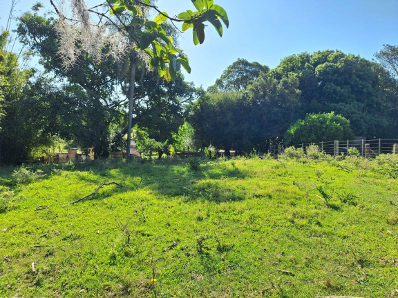 Imagem Chácara com 3 Quartos à Venda, 3.000 m² em Lombas - Viamão