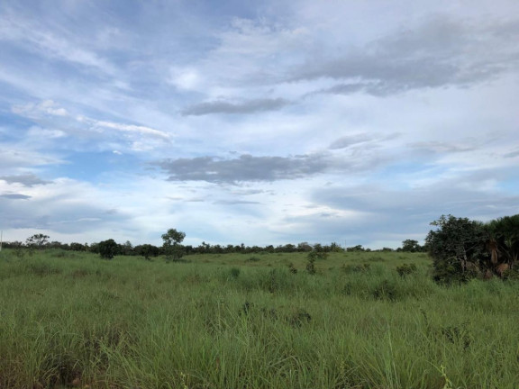 Imagem Fazenda à Venda,  em Rural - Figueirópolis