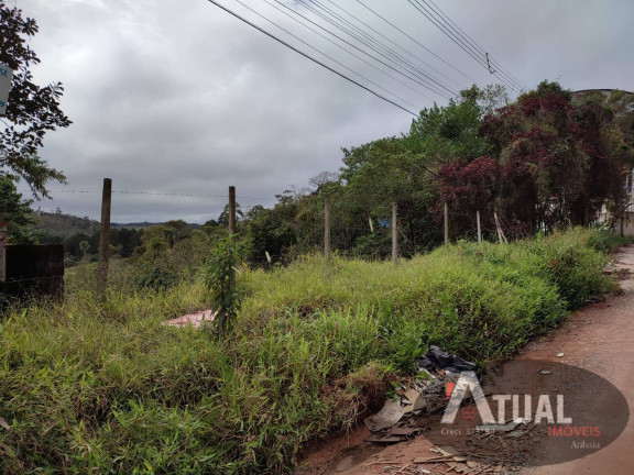 Imagem Terreno à Venda, 1.150 m² em Terra Preta - Mairiporã