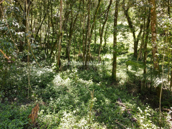 Imagem Terreno à Venda, 970 m² em Região Do Alto Da Vila Inglesa - Campos Do Jordão Imagem Terreno à Venda, 970 m² em Região Do Alto Da Vila Inglesa - Campos Do Jordão