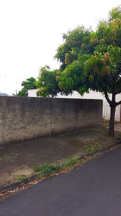 Imagem Terreno à Venda, 300 m² em Jardim Carlos Gomes - Pirassununga Imagem Terreno à Venda, 300 m² em Jardim Carlos Gomes - Pirassununga