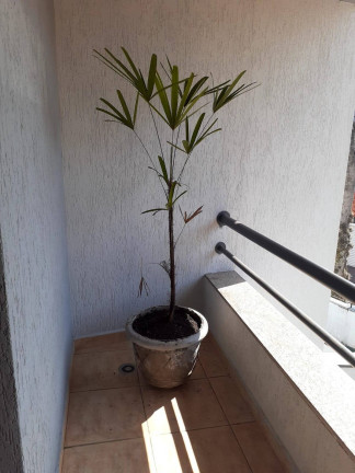 Imagem Sobrado com 4 Quartos à Venda, 203 m² em Vila Assunção - Santo André