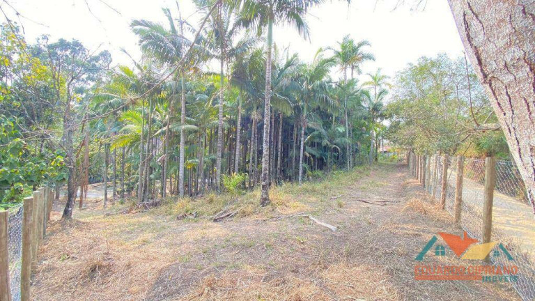 Imagem Terreno à Venda, 5.300 m² em Espírito Santo - Paraibuna