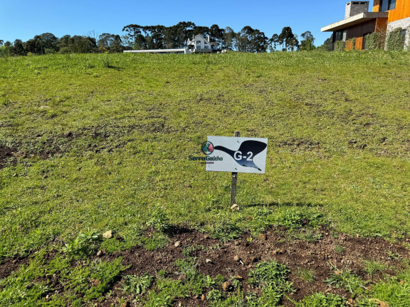 Imagem Terreno à Venda, 978 m² em Vale Das Colinas - Gramado Imagem Terreno à Venda, 978 m² em Vale Das Colinas - Gramado
