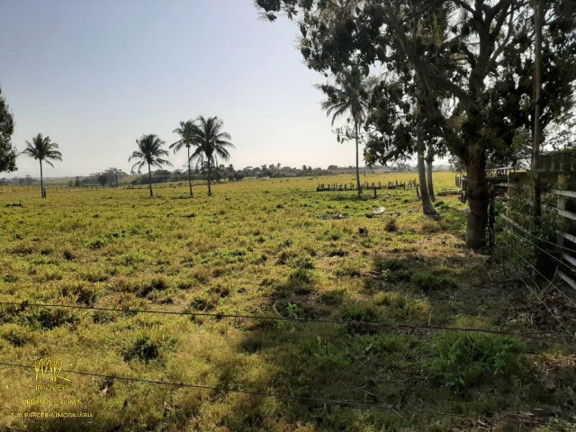 Imagem Imóvel à Venda, 48 m² em Dores De Macabu - Campos Dos Goytacazes Imagem Imóvel à Venda, 48 m² em Dores De Macabu - Campos Dos Goytacazes