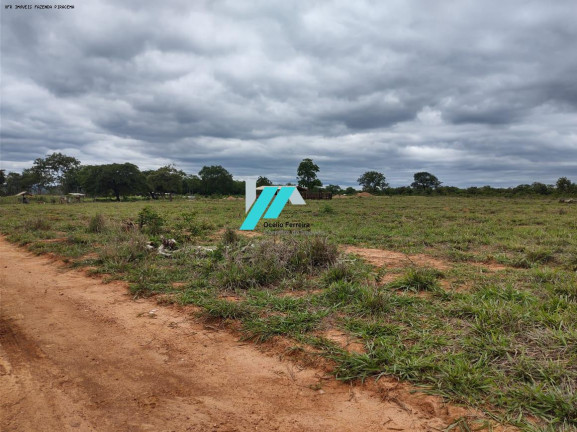 Imagem Fazenda à Venda, 82 m² em Zona Rural - Santo Hipólito Imagem Fazenda à Venda, 82 m² em Zona Rural - Santo Hipólito
