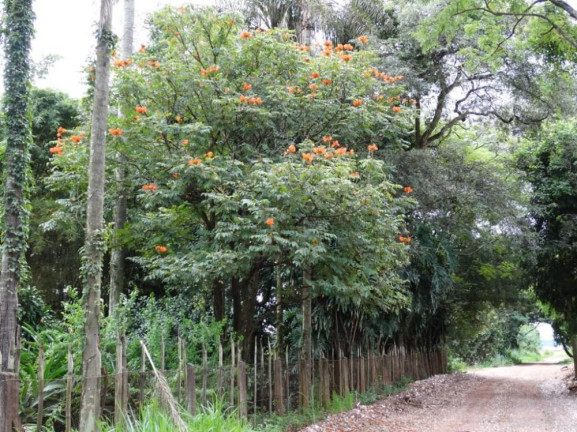 Imagem Imóvel à Venda, 87.900 m² em Jardim Do Cedro - São José Do Rio Preto Imagem Imóvel à Venda, 87.900 m² em Jardim Do Cedro - São José Do Rio Preto