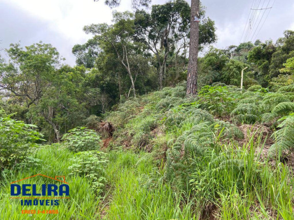 Imagem Terreno à Venda, 1 m² em Mato Dentro - Mairiporã Imagem Terreno à Venda, 1 m² em Mato Dentro - Mairiporã