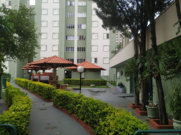 Imagem Apartamento com 3 Quartos à Venda, 70 m² em Jardim Auri Verde - Bauru Imagem Apartamento com 3 Quartos à Venda, 70 m² em Jardim Auri Verde - Bauru
