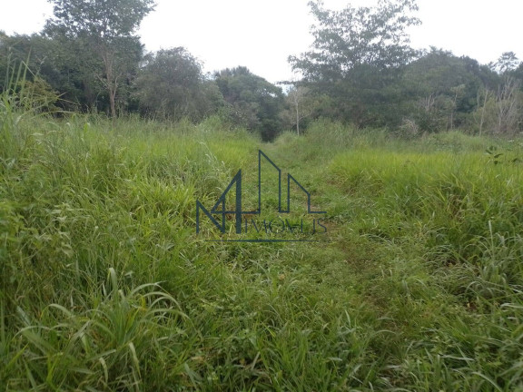 Imagem Fazenda à Venda, 29 m² em Almas - Arraias Imagem Fazenda à Venda, 29 m² em Almas - Arraias