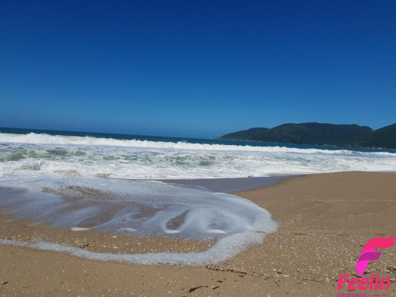 Imagem Casa com 3 Quartos à Venda, 410 m² em Lagoa Da Conceição - Florianópolis