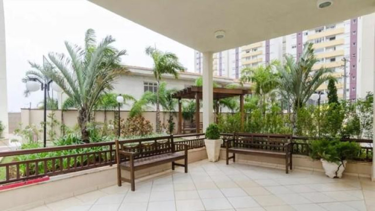 Imagem Apartamento com 3 Quartos à Venda, 65 m² em Baeta Neves - São Bernardo Do Campo