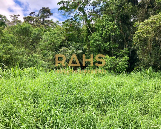 Imagem Terreno à Venda, 245.278 m² em Rio Bonito (pirabeiraba) - Joinville